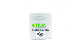 GÄNGPASTA TILIA 500G VEGETABILISK