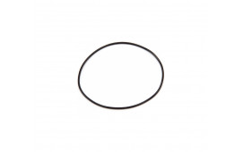O-ring