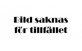 VÄGTRAILER MED BELYSNING