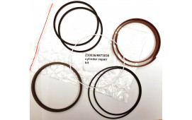 REPSATS CYLINDER S60-1H