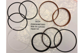 REPSATS CYLINDER S30-1H, 2ML