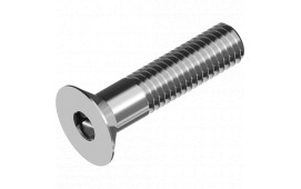 Insexskruv med försänkt skalle (MF6S) M8x20 A4 100st