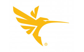 Dekal Humminbird fågel 200mm