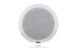 Signature vitt galler 10" 1st